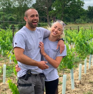 Harvest time at a Sussex vineyard